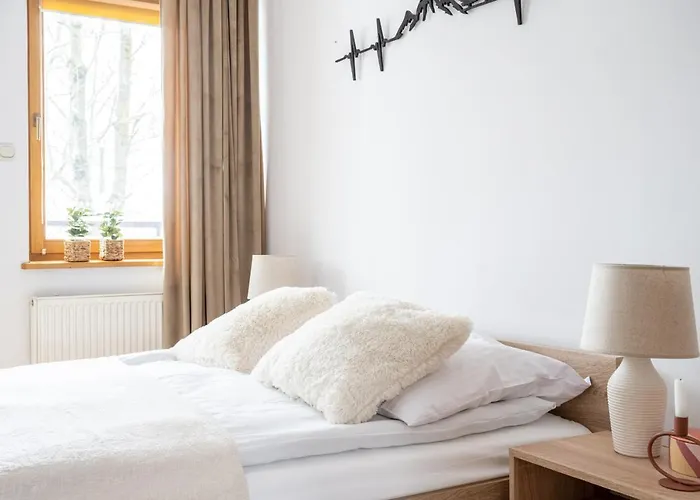 Apartamenty Zakopane Orkana Apartzakop